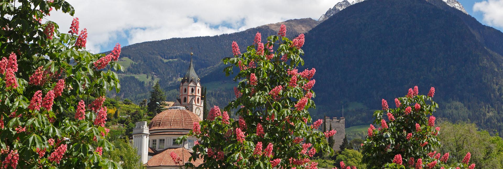 Merano in spring