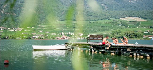 Cultura alpina e vigneti