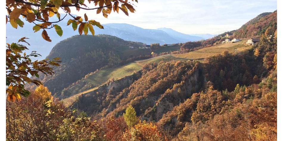 Paesaggio autunnale di montagna con vigneti, boschi colorati e case sparse alla luce calda.