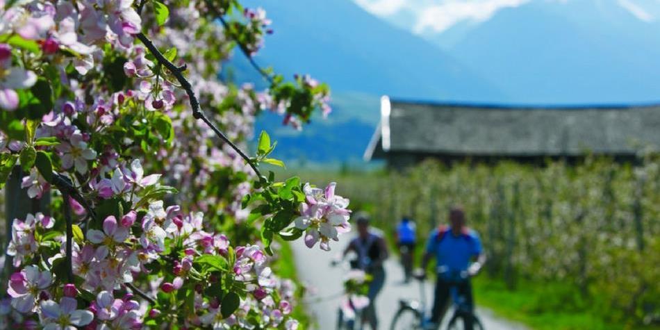 Un giro in bici in primavera