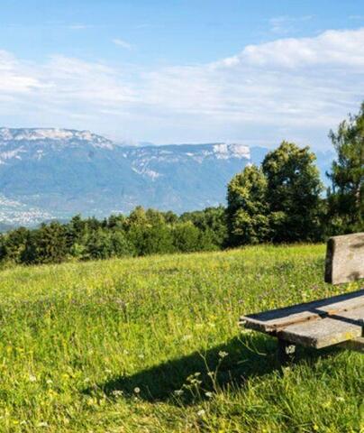 A wooden bench on a blooming meadow overlooking a wide valley and surrounding mountains.