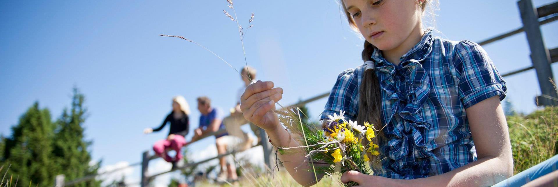 A girl is picking wild flowers